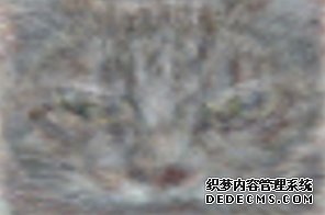 这幅图片可以让谷歌神经网络技术识别为猫脸