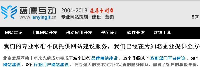 蓝鹰互动专业网站建设